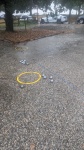 Finale-Tournois-villageois-2023-PHC-12.jpg